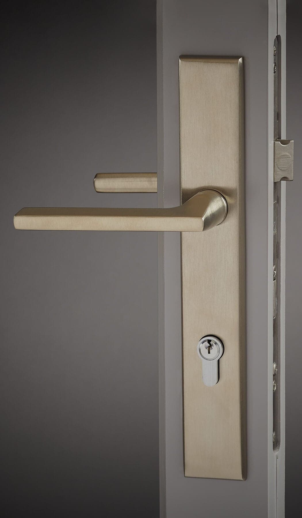 Baldwin-Handles-Lakeshore-Satin-Nickel-PVD.jpg