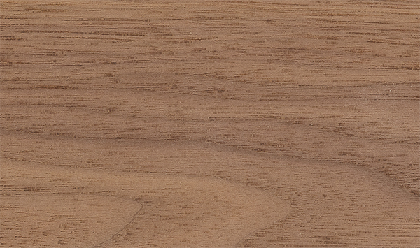 Walnut Wood Species