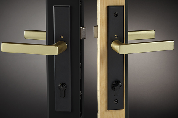 Two-Tone Dallas Swinging Door Handle